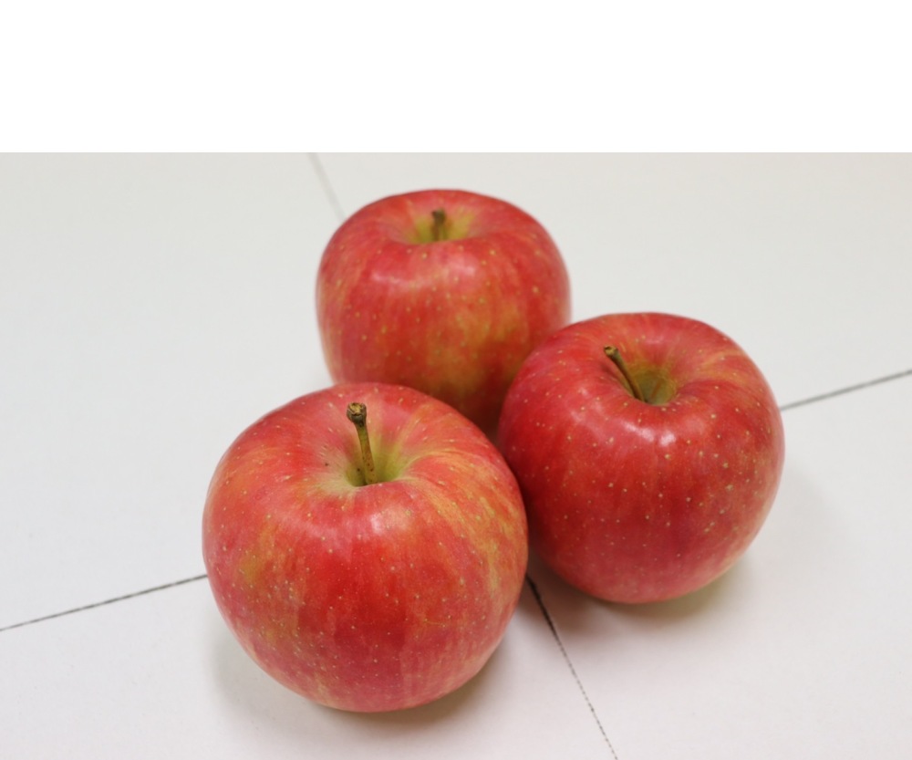 葉とらずりんご（ふじ）5kg
